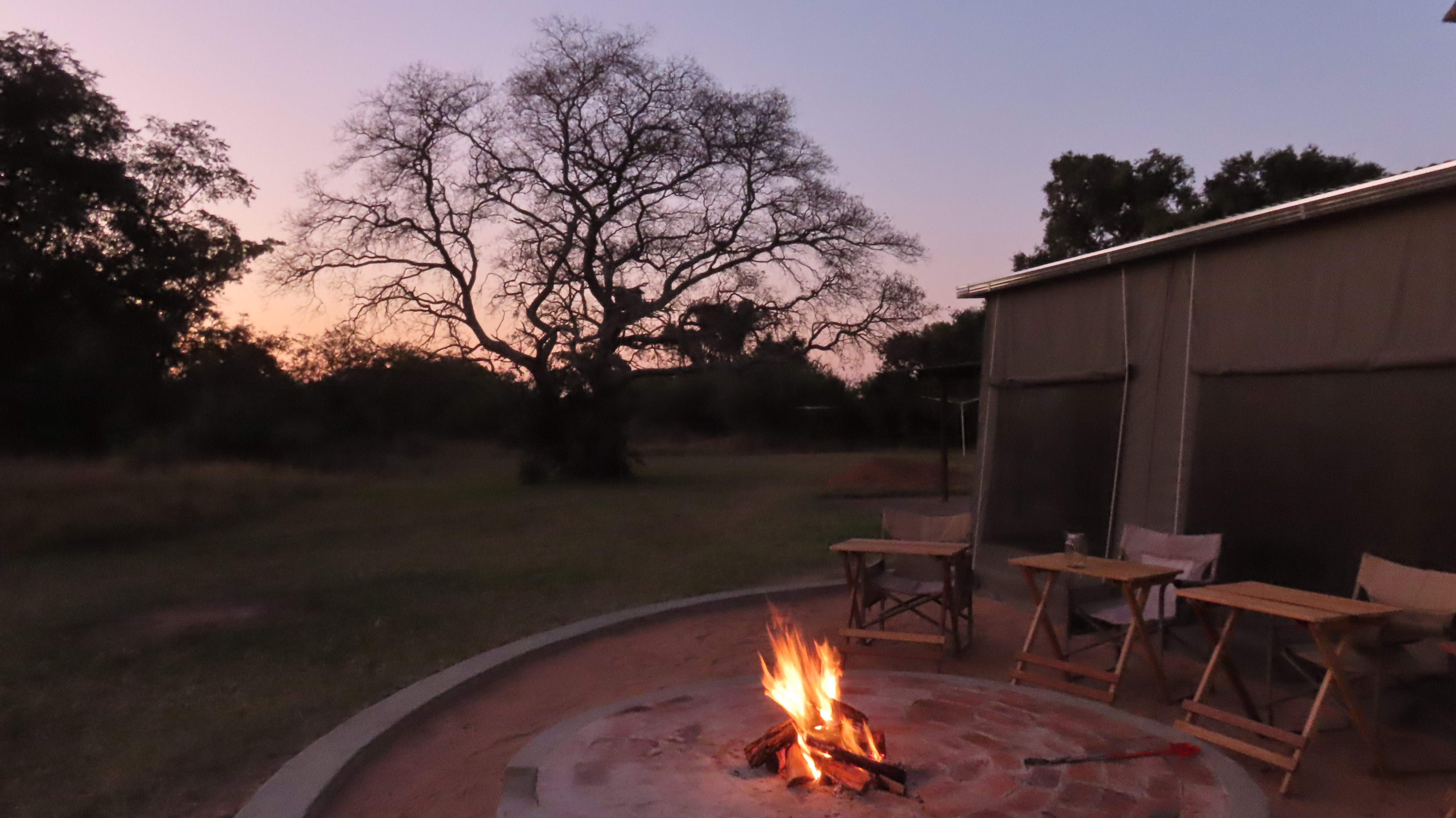 “Guest Voices from the Bush: Reviews That Shape Sunset Lodge & Safaris”