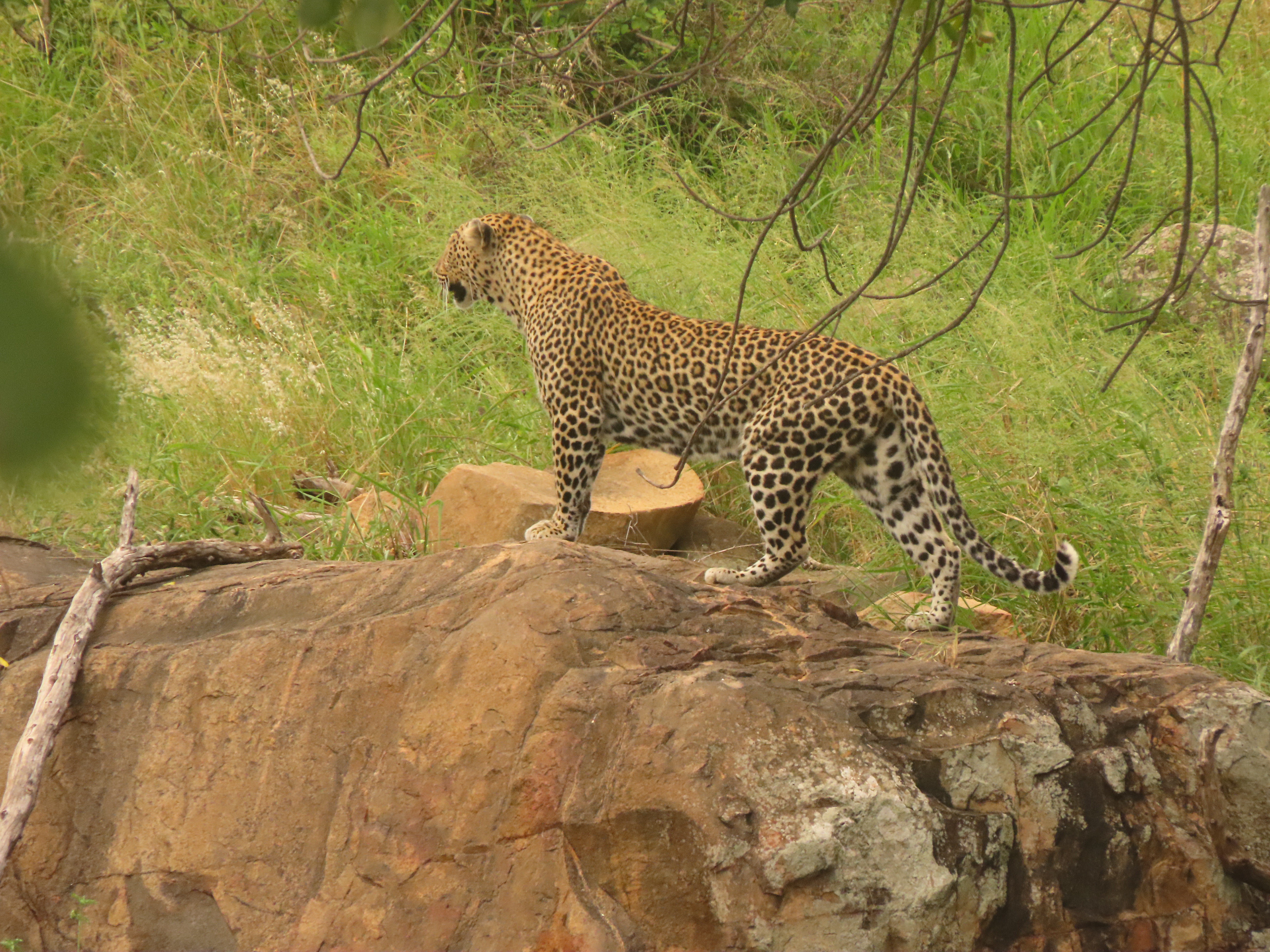 Entering Kruger at Sunrise
